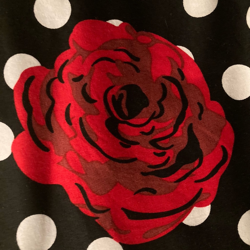 Polka Dots & Roses Skirt 🌹 - Picture 2 of 8